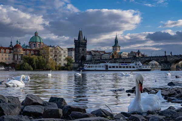 Prag Çek Cumhuriyeti Nin 2019 Yılı Manzarası — Stok fotoğraf