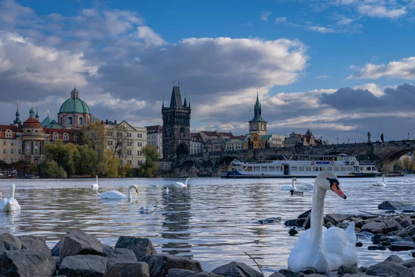 Prag Çek Cumhuriyeti Nin 2019 Yılı Manzarası — Stok fotoğraf