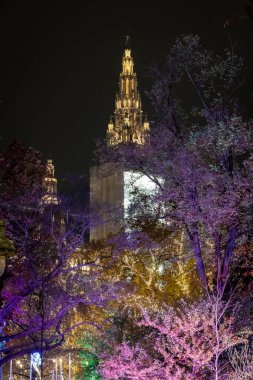 Viyana Avusturya Noel sahnesinin manzarası