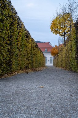 Viyana Avusturya 'daki Belvedere Sarayı' ndan.