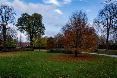 Viyana Avusturya 'daki Schonbrunn topraklarından bir manzara