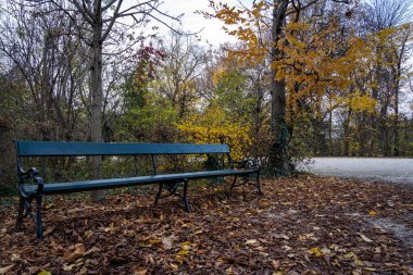 Viyana Avusturya 'daki Schonbrunn topraklarından bir manzara