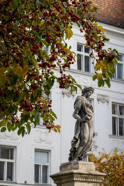 Красивая Статуя Вене Австрия — стоковое фото