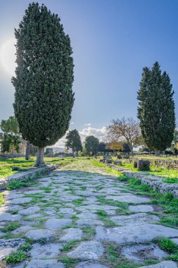 Kesinlikle göz kamaştırıcı İtalyan Paestumu.