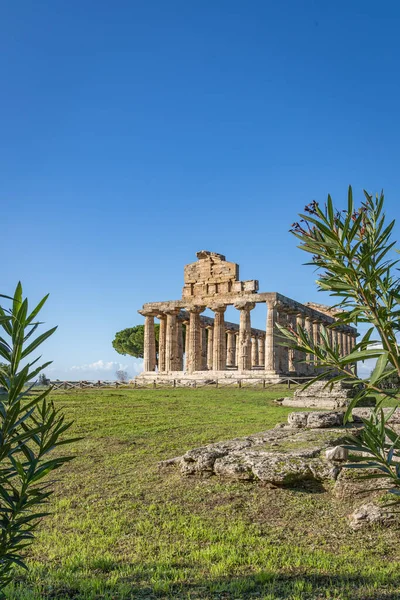 Wspaniała Świątynia Ateny Paestum Włochy — Zdjęcie stockowe