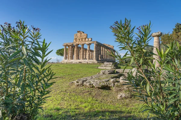 Wspaniała Świątynia Ateny Paestum Włochy — Zdjęcie stockowe