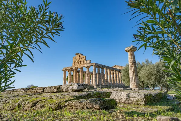 Paestumのアテナの素晴らしい寺院イタリア — ストック写真