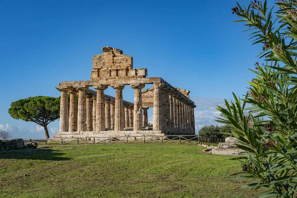 Εκπληκτικός Ναός Της Αθηνάς Στο Paestum Ιταλίας — Φωτογραφία Αρχείου