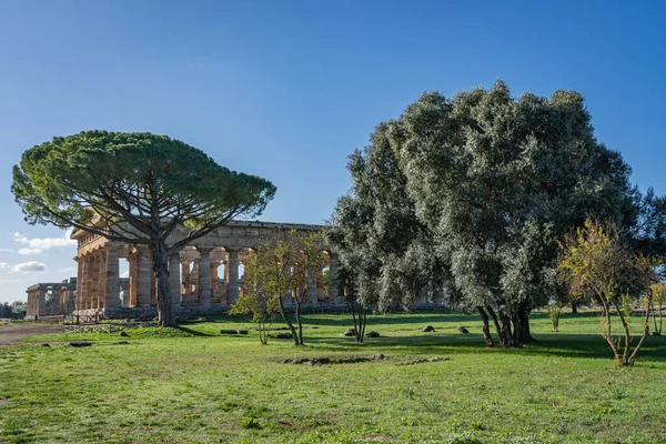 Pohled Neuvěřitelný Chrám Paestum Itálie — Stock fotografie