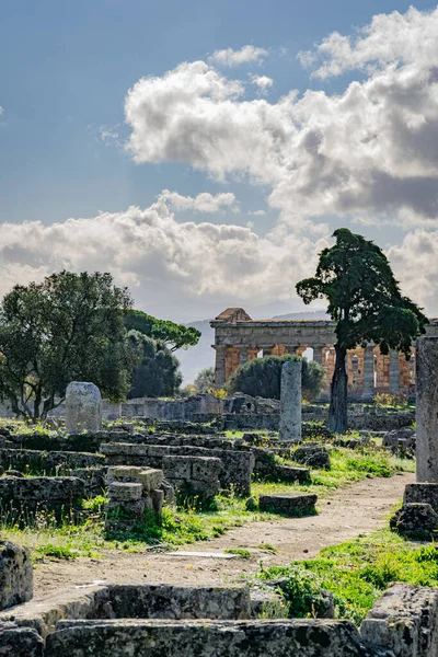 Spojrzenie Niesamowitą Świątynię Paestum Włochy — Zdjęcie stockowe