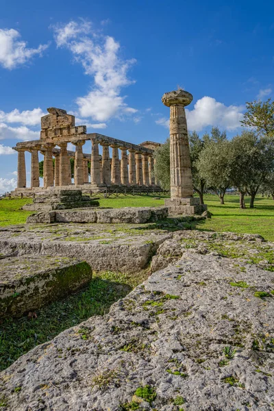 Ohromující Chrám Athény Paestum Itálie — Stock fotografie