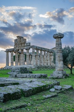 İtalya 'nın Paestum kentindeki Athena Tapınağı.