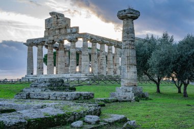 İtalya 'nın Paestum kentindeki Athena Tapınağı.