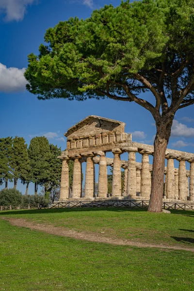 Paestumのアテナの素晴らしい寺院イタリア — ストック写真