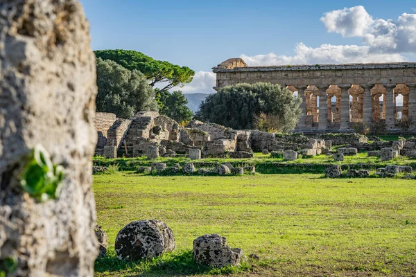 Spojrzenie Niesamowitą Świątynię Paestum Włochy — Zdjęcie stockowe