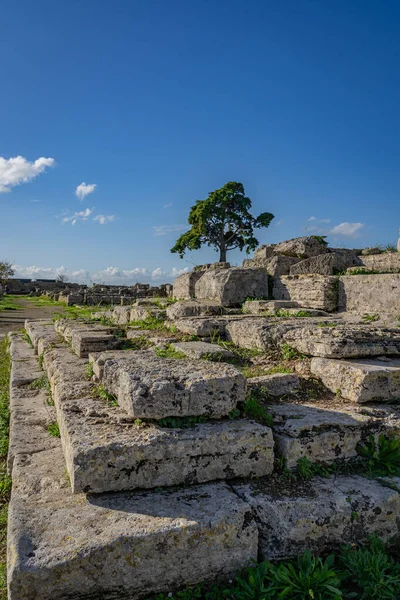 Paestum Absolutamente Deslumbrante Itália — Fotografia de Stock