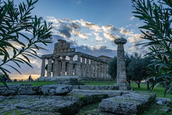 Εκπληκτικός Ναός Της Αθηνάς Στο Paestum Ιταλίας — Φωτογραφία Αρχείου