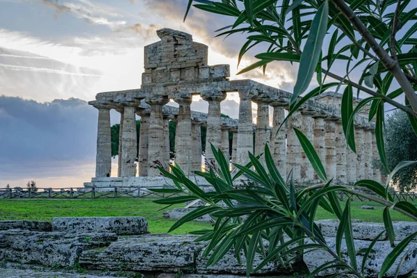 Splendido Tempio Atena Paestum — Foto Stock