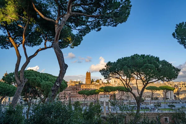 Forum Romain Rome Italie — Photo