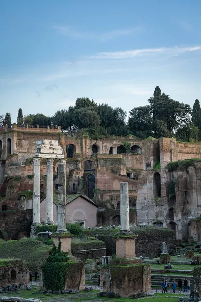 Das Forum Romanum Rom Italien — Stockfoto