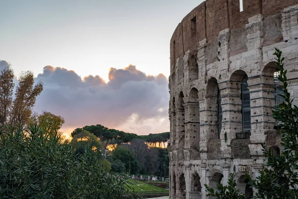 Coliseu Romano Roma Itália — Fotografia de Stock