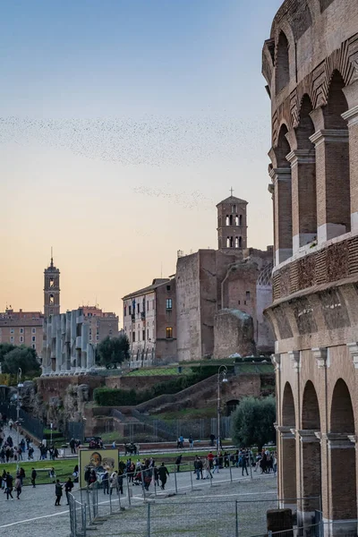 Coliseo Romano Roma Italia — Foto de Stock