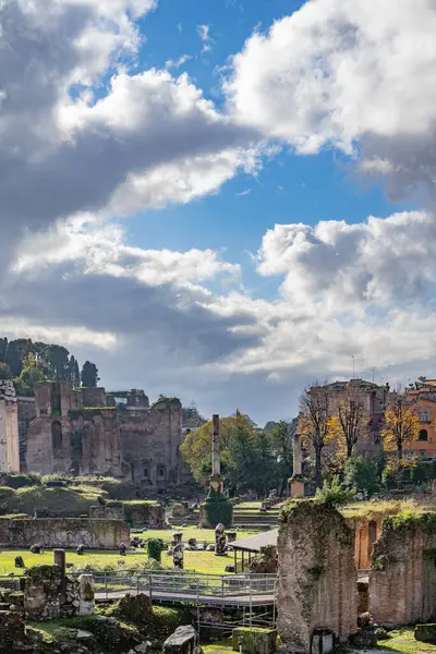 Das Forum Romanum Rom Italien — Stockfoto