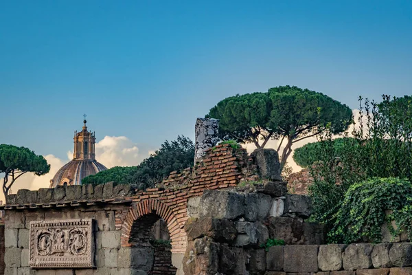 Das Forum Romanum Rom Italien — Stockfoto