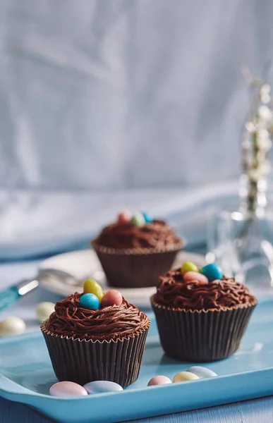 スキットルズと飾られるチョコレートのカップケーキ — ストック写真