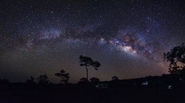 Panorama Samanyolu ve ağaç yapısı ile bulut.