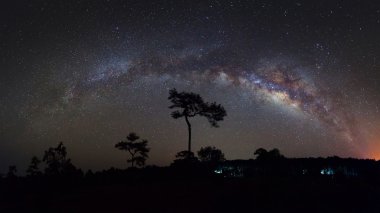 Panorama Samanyolu ve ağaç yapısı ile bulut.