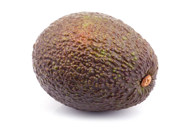 Avocado su sfondo bianco — Foto Stock