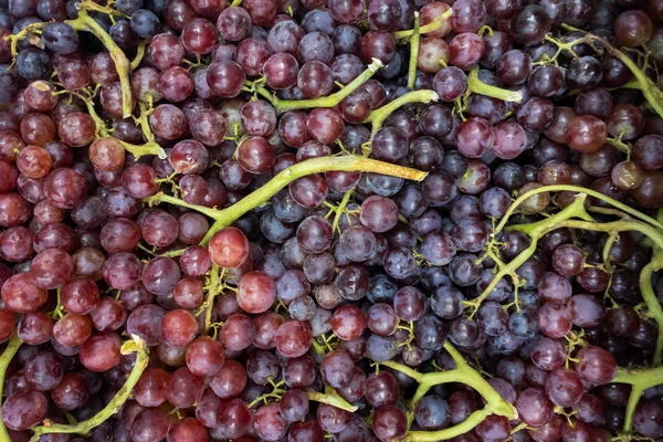 Kırmızı üzüm kadar kapatın — Stok fotoğraf