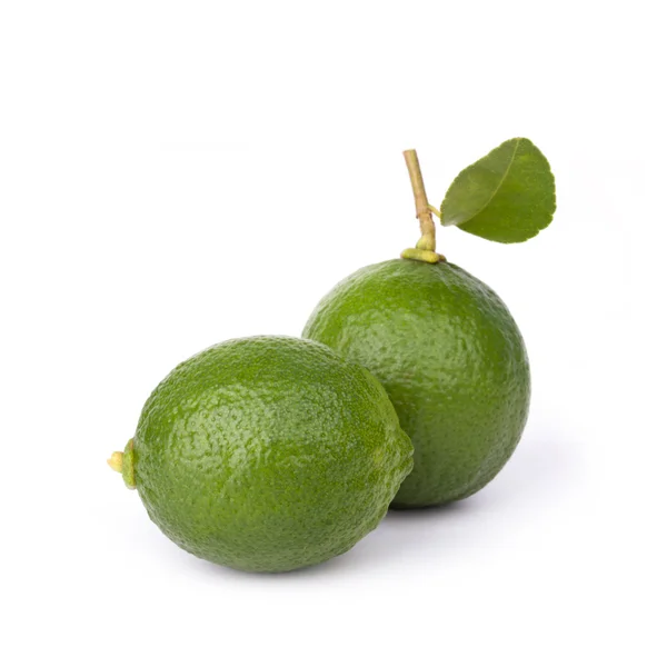 Citrus lime fruit isolated on white background — Stock Photo, Image