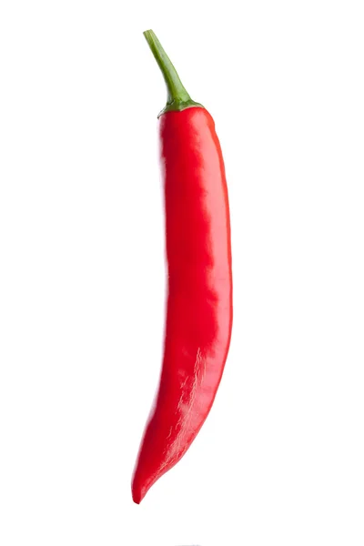 Piment rouge ou piment de Cayenne isolé sur fond blanc — Photo