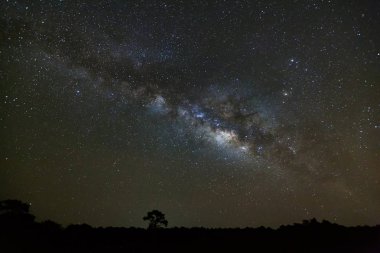 Samanyolu ve ağaç Phu Hin Rong Kla Milli Parkı, silüeti