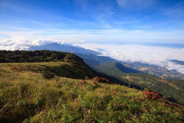 Sis Dağı'nda Doi Inthanon Milli Parkı, Tayland üzerinden