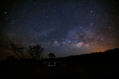 Samanyolu ve ağaç Phu Hin Rong Kla Milli Parkı, silüeti