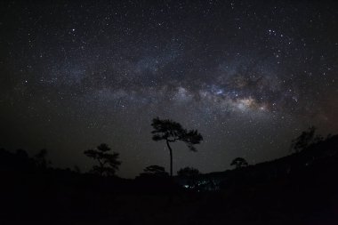 Samanyolu ve Phu Hin Rong Kla Ulusal Pa ağaca silüeti