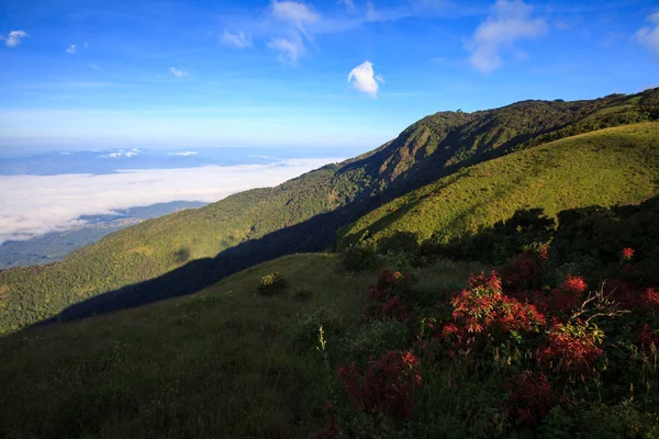 Niebla sobre la montaña en el parque nacional Doi Inthanon, Tailandia — Foto de Stock