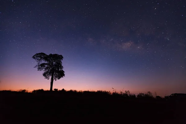 Wunderschöne Milchstraße und Baumsilhouette am Nachthimmel vor Sonnenaufgang — Stockfoto