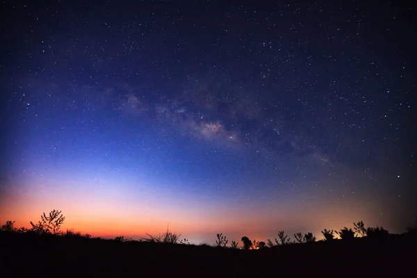 Vía láctea hermosa y silueta de árbol en un cielo nocturno antes del amanecer — Foto de Stock