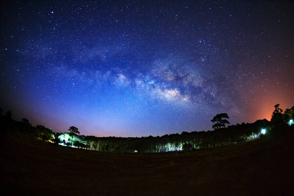 Milky Way and silhouette of tree at Phu Hin Rong Kla National Park, Phitsanulok Thailand, Long exposure photograph.with grain
