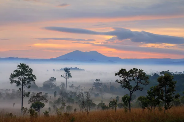 Misty morning sunrise at Thung Salang Luang National Park Phetchabun — Stock Photo, Image