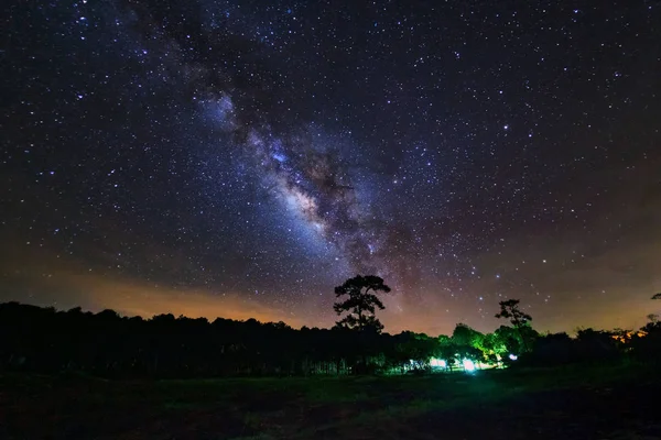 Via Láctea e Silhueta de Árvore no Parque Nacional Phu Hin Rong Kla — Fotografia de Stock