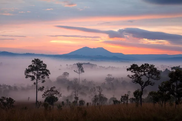 多雾的早晨日出时分通萨朗銮国家公园碧差汶 — 图库照片