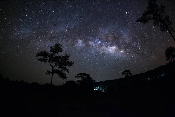 Milky Way és a Phu Hin Rong Kla nemzeti Pa fa sziluettje — Stock Fotó