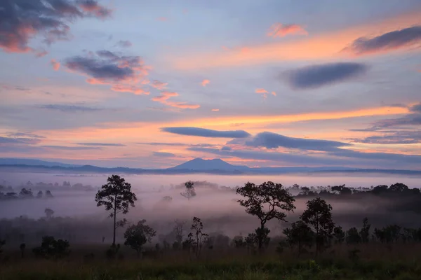 Nebliger Morgensonnenaufgang im Thung Salang Luang Nationalpark Phetchabun — Stockfoto