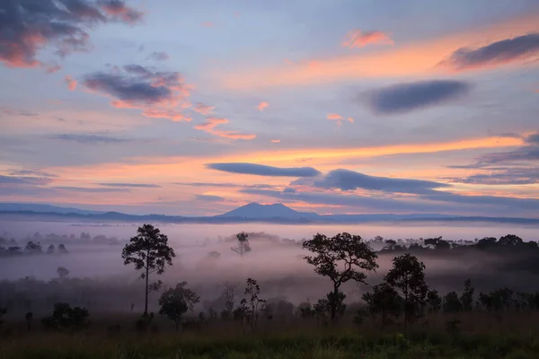 Mulk Salang Luang Milli Parkı: Phetchabun puslu sabah güneş doğarken — Stok fotoğraf