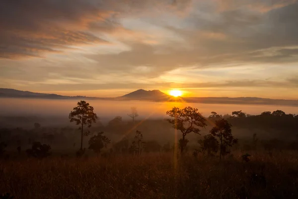 Ködös reggel a napfelkelte a Thung Salang Luang Nemzeti Park Phetchabun — Stock Fotó